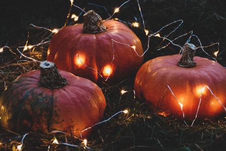 Blurry holiday background with pumpkins and lights, halloween and thanksgiving party decorationsの写真素材