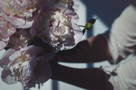 Bouquet of pink peony flowers in hands, light and shadowの写真素材