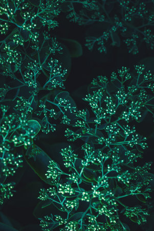 Dark green plants moody background, flowerbuds and leaves texture at night