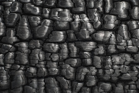 Charcoal texture background, burnt wood surface closeup