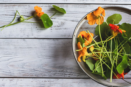 Nasturtium plants, Monks cress flowers and leaves prepared for cooking on kitchen table, top viewの写真素材