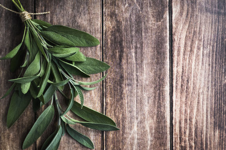 Sage leaf, kitchen sage on dark wooden table, cooking background, copy space