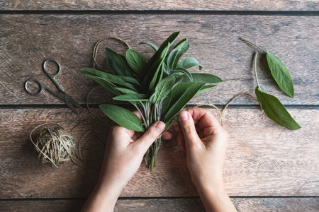 Sage leaf bundle in hands, hemp string and scissors on old wooden tableの写真素材