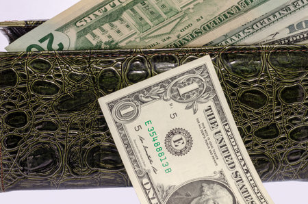 dollars in a purseの写真素材