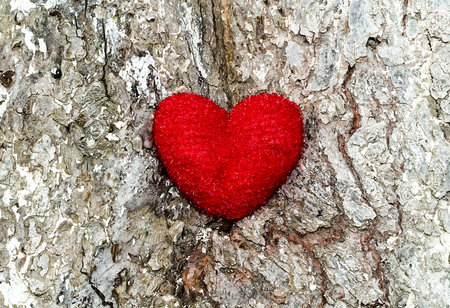 tree with red heartの写真素材