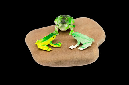 toy frogs on a stoneの写真素材