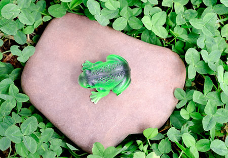 the toy frog sits on a stoneの写真素材