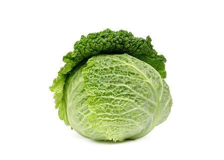 cabbage isolatedの写真素材