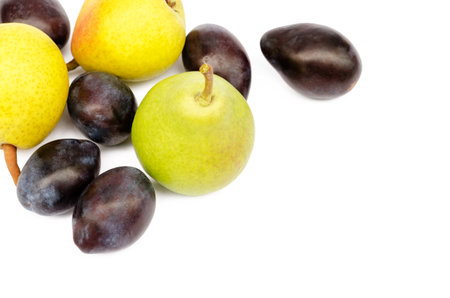 plums and pears on a white backgroundの写真素材