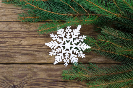 branch of a fir-tree and snowflakeの写真素材