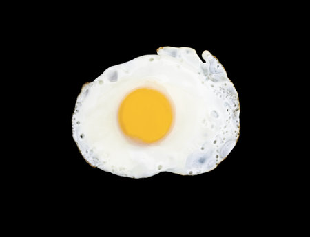 omelet on a black backgroundの写真素材