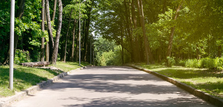 road in parkの写真素材