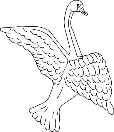 swan sketch, black and white line vectorのイラスト素材
