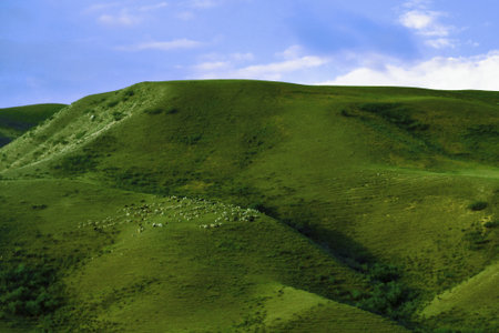 green plainsの写真素材