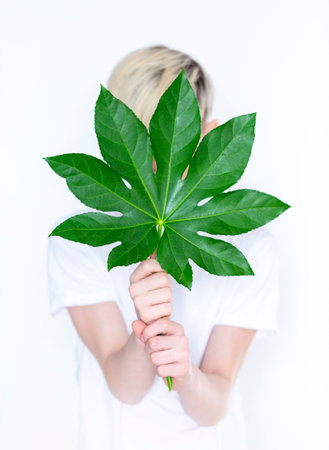 a teenage boy holds a large leaf from a tree in front of him on a light backgroundの写真素材