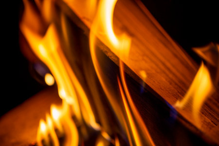 fire in the fireplace close-up. burning wood