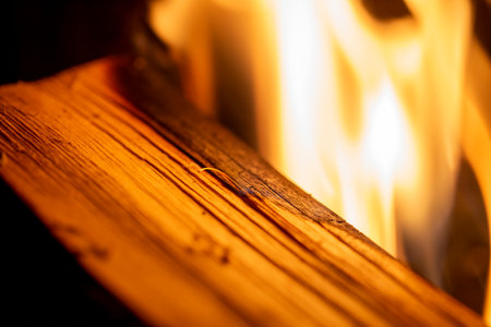 burning wood close-up. burning wood