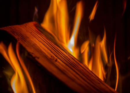 burning wood close-up. burning wood