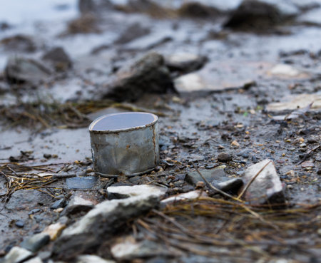 pollution of the environment. rusty shovels, buckets, garbage in the river on sand and grass. protection of natureの写真素材