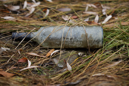 pollution of the environment. dirty broken bottles on the banks of the river on sand and grass....