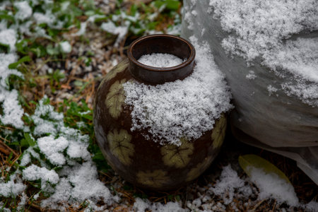 green leaves in the snow after the first snowfall in autumn close-upの写真素材