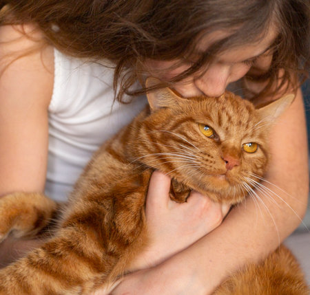 red cat sitting in the arms of a girl with a dissatisfied look close upの写真素材