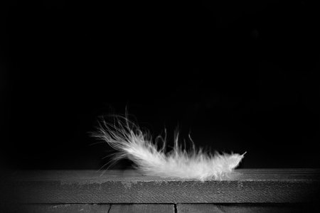 wooden dark background with a white pen and a brightly colored bokeh background with featherの写真素材