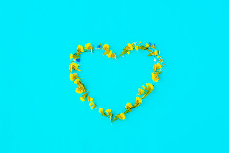 heart of yellow dried flowers on a blue monochrome background, a symbol of love, minimalismの写真素材