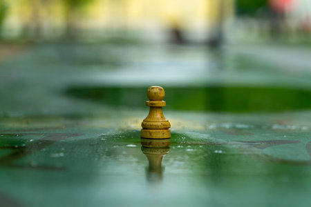 abandoned chess piece on a chess table outside in a park after rain, close-upの写真素材