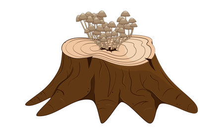 Tree stump with mushrooms. Stock vector illustration.のイラスト素材