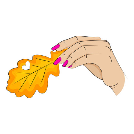Female hand holding autumn yellow leaf. Vector illustration.のイラスト素材