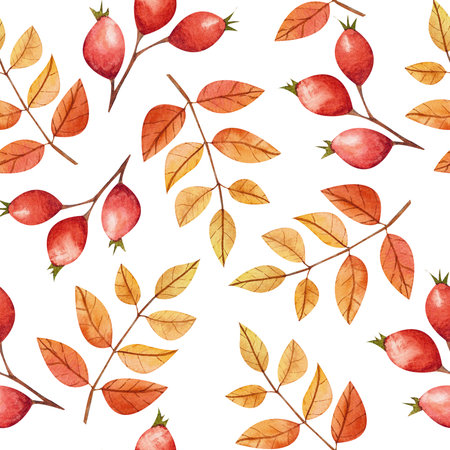 Autumn leaves and berries on a transparent background. Seamless pattern with botanical isolated elementsの写真素材