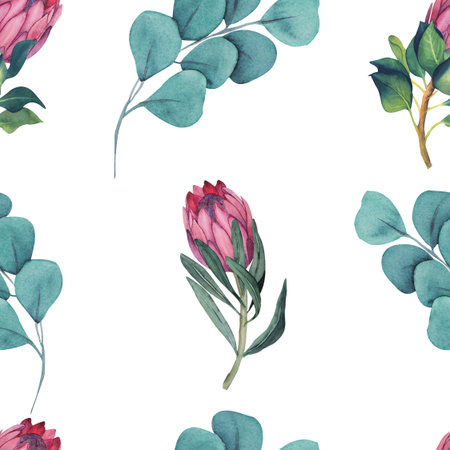 Watercolor seamless pattern with magenta protea, floral background blooming flowers and protea leaves.の写真素材