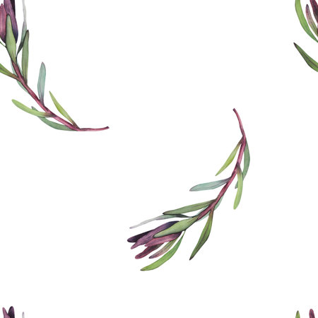 Watercolor seamless pattern with magenta protea, floral background blooming flowers and protea leaves. Print for fabric, textile, roll wallpaper, design, backgrounds, textures, digital paperの写真素材