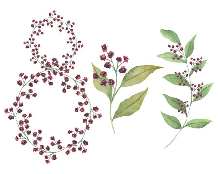 Floral watercolor flowers. Decoration for poster, greeting card, birthday, wedding design. Isolated on white background. Element for international womens dayの写真素材