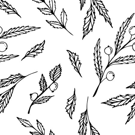 Hand drawing sketching seamless pattern with vector black branches with leaves and berries.. Vector elements for wedding design, logo design, packaging and other ideasのイラスト素材
