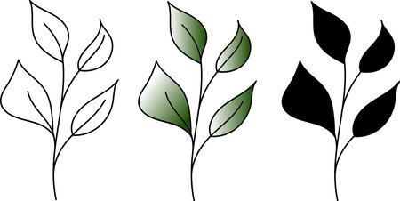 Set of graphic vector plant branches with leaves and transparent, silhouette and gradient design. Vector elements for wedding design, logo design, packaging and other ideasのイラスト素材