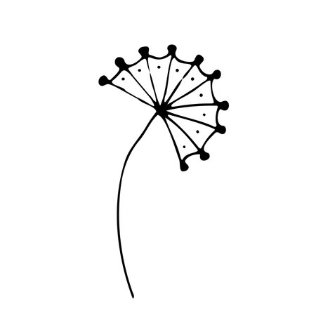 Vector sdrawing abstract herbs, monochrome artistic botanical illustration, isolated floral elements, hand drawn illustration.のイラスト素材