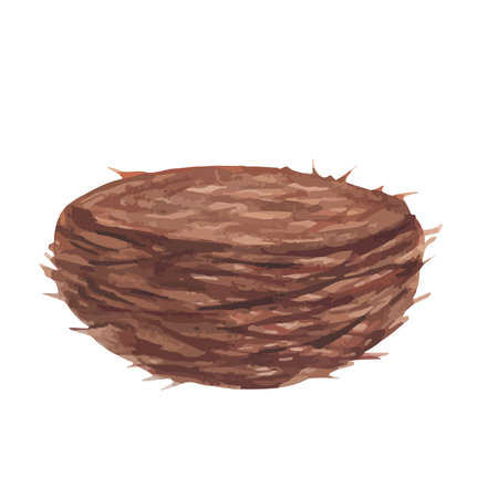 Bird nest. Empty nest with branches isolated on white background. Vector illustration with watercolor effectsのイラスト素材