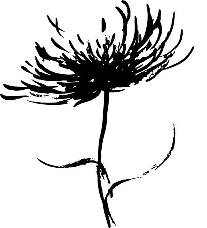 Chrysanthemum hand drawn black paint vector set. Ink drawing flowers and leaves. Monochrome artistic botanical clip arts. Daisy, aster, chrysanthemum or chamomile.のイラスト素材