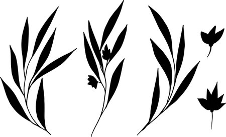 set of vector silhouettes of twigs with leaves and flowers. Ink drawing wild plants, herbs, monochrome botanical illustration. isolated cliparts for cards, tattoos, logos, packaging, wedding decor.のイラスト素材