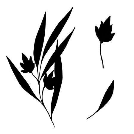 set of vector silhouettes of twigs with leaves and flowers. Ink drawing wild plants, herbs, monochrome botanical illustration. isolated cliparts for cards, tattoos, logos, packaging, wedding decor.のイラスト素材