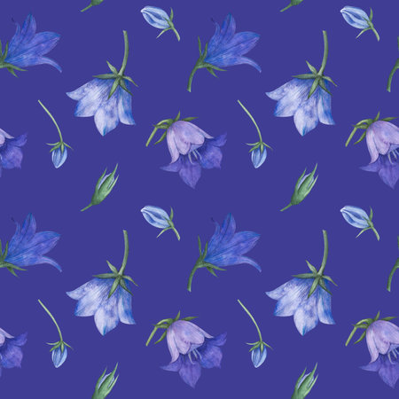 Seamless pattern with bluebell, spreading bellflower flowers (Campanula patula, little bell, rapunzel, harebell). Watercolor hand painting illustration on isolate white backgroundの写真素材