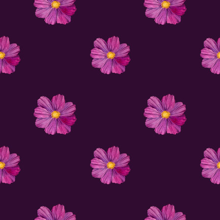 Floral seamless pattern with cosmos flowers. Pink watercolor illustration of buds on a white background. Botanical pattern for fabrics, textiles, wallpapers, scrapbooking.の写真素材