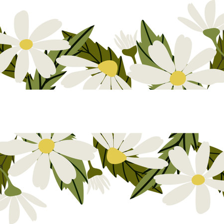 Template with White daisy, chamomile flowers. Vector illustration set. Cute round flower head plant nature collection. Decoration element with space for text. Flat design for cards, packaging.のイラスト素材