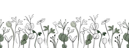 Seamless banner with hand drawn microgreen vector illustration. Contour sprouts of watercress spinach mustard cress and peas radish onion sunflower basil plant. Frame for menu, healthy lifestyleのイラスト素材
