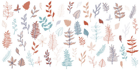 vector contour branch and leaves for harvest festival poster. Elegant silhouette and outline element in trendy pastel colors. hand drawn botanical illustration for wedding design, cards, logo, tattoo.のイラスト素材