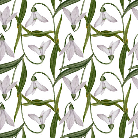 Seamless pattern with Snowdrop watercolor hand drawn bouquet, flower and green leaves. Concept spring, primrose, easter, botanical illustration. clipart for cards, textiles, templatesの写真素材