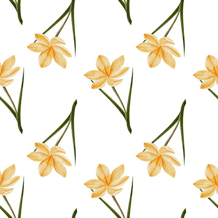 seamless pattern with crocus flower in yellow color, drawn in watercolor, isolated on white. Hand drawn botanical illustration. Elements for cards, logos, prints, wedding designの写真素材