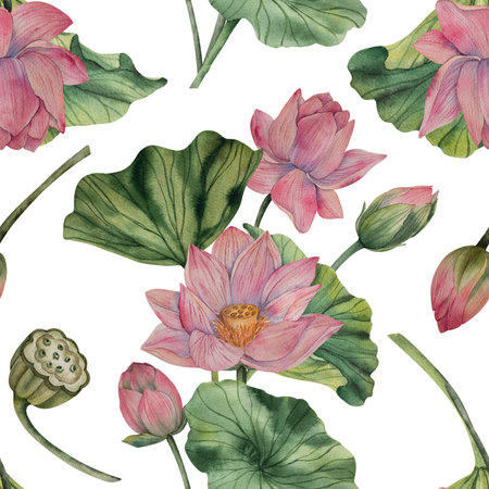 Hand drawn lotus watercolor pattern with blooming pink flowers and green leaves. Watercolor style. Natural palette. Ideal for textile print wallpaper wrapping paper fabric surface designの写真素材